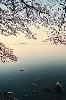 [人生巅峰：替身一年，稳赚千万]完整版（孟雪瑶秦珩）精选小说孟雪瑶秦珩