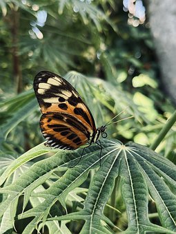 [让你写老师，你写张东升？]完整文集阅读（林晨张伟）最新章节免费在线阅读林晨张伟